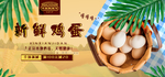新鲜鸡蛋丰收购物节海报