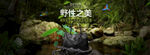 女包合成