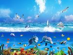 海洋生物