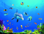 海底生物