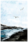 风景画