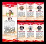 中国科学家