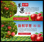 苹果