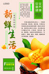 水果海报  新鲜生活
