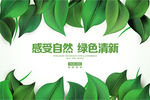 绿色清新模板设计