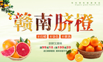 赣南脐橙