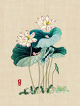 彩绘荷花