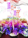 勿忘我