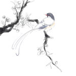 手绘工笔花鸟