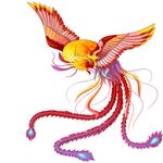神鸟凤凰百鸟之王