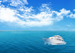 大海
