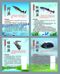 鱼类简介展板