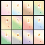 幻彩12星座