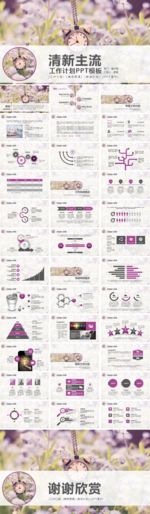 小清新薰衣草工作计划总结PPT