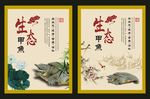 甲鱼