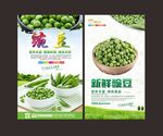 豌豆
