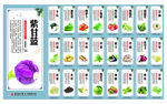 蔬菜营养