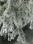 十一月 十一月你好