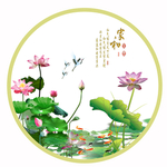 荷花