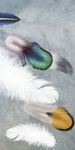 彩色羽毛玄关画 TIF分层