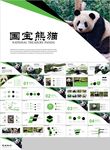 保护动物吃竹子国宝熊猫野生动物