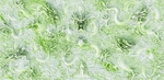 龙戏珠