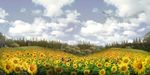 向日葵景观