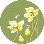 清新花鸟装饰画
