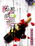 红酒海报