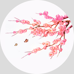 花鸟画