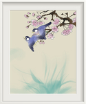 清新花鸟画