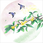 清新花鸟装饰画
