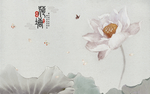 衣柜移门腰线