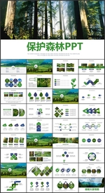 保护森林PPT