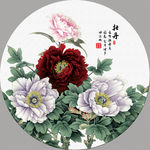 牡丹花