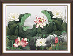 国画荷花