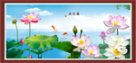 荷花