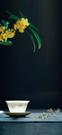 节气