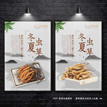 冬虫夏草广告 虫草海报 药材