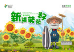 卡通葵花画面