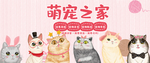 萌宠之家