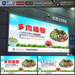 多肉植物