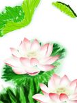 荷花装饰画
