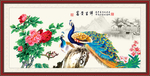 孔雀牡丹