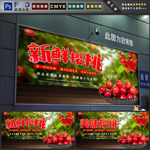 樱桃