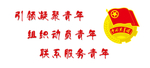 引领凝聚青年 组织动员青年