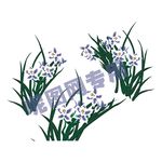 矢量鸢尾花图片