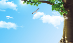 天空