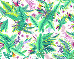 热带植物