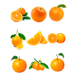 橙子